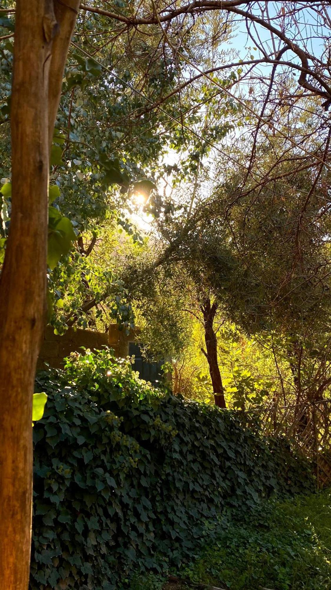 Dar Relax Hostel, Gorges De Todra Tinghir Εξωτερικό φωτογραφία